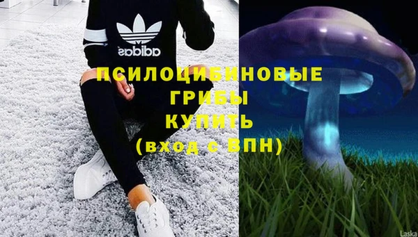 mdma Ельня