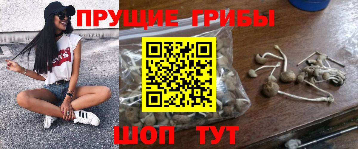 Галлюциногенные грибы мухоморы  Псилоцибиновые грибы Psilocybe  Зеленодольск  Вход с VPN 