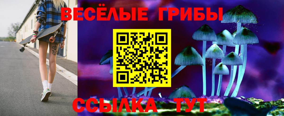 Галлюциногенные грибы GOLDEN TEACHER  Зеленодольск 
